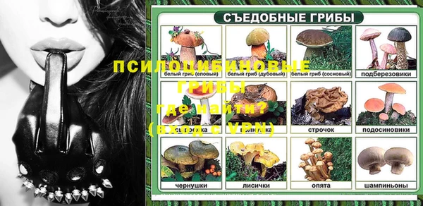 спайс Алзамай