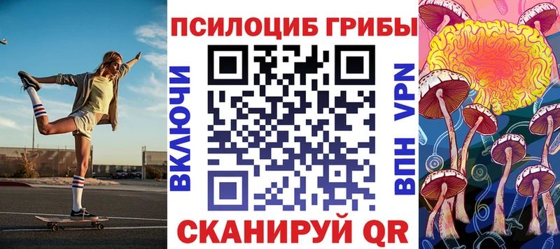 omg ссылка  Карачаевск  Галлюциногенные грибы Psilocybine cubensis  как найти  