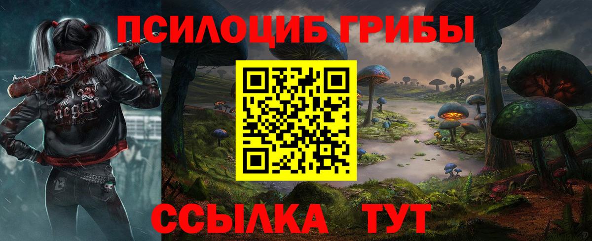 Карачаевск  даркнет сайт  Вход с VPN  Галлюциногенные грибы Magic Shrooms 