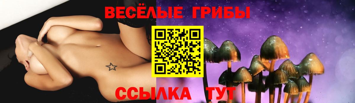 Псилоцибиновые грибы GOLDEN TEACHER Карачаевск